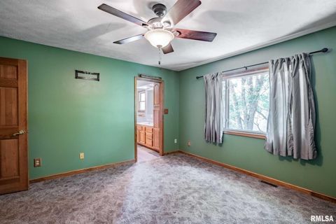 Tiny photo for 541 DALLAS Road, Murphysboro, IL 62966 (MLS # EB459428)