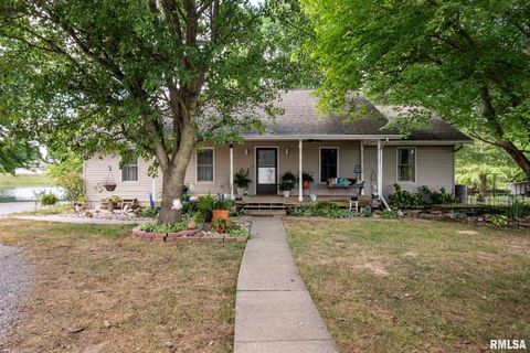 Tiny photo for 541 DALLAS Road, Murphysboro, IL 62966 (MLS # EB459428)