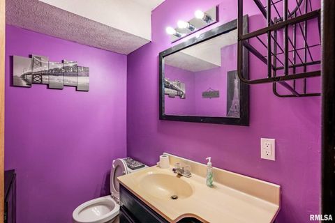 Tiny photo for 541 DALLAS Road, Murphysboro, IL 62966 (MLS # EB459428)