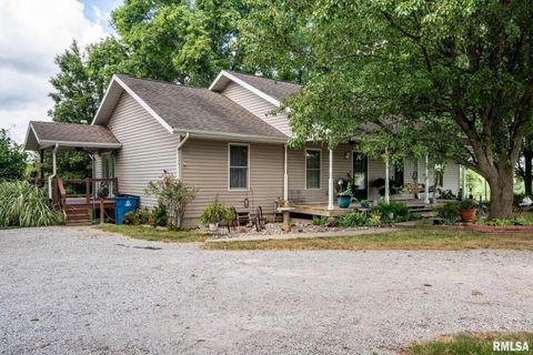 Tiny photo for 541 DALLAS Road, Murphysboro, IL 62966 (MLS # EB459428)