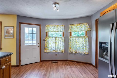 Tiny photo for 541 DALLAS Road, Murphysboro, IL 62966 (MLS # EB459428)