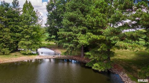 Tiny photo for 541 DALLAS Road, Murphysboro, IL 62966 (MLS # EB459428)