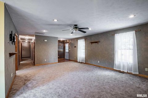 Tiny photo for 541 DALLAS Road, Murphysboro, IL 62966 (MLS # EB459428)