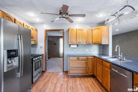 Tiny photo for 541 DALLAS Road, Murphysboro, IL 62966 (MLS # EB459428)