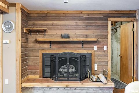 Tiny photo for 541 DALLAS Road, Murphysboro, IL 62966 (MLS # EB459428)