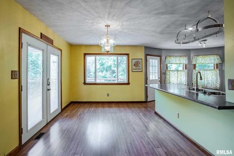 Tiny photo for 541 DALLAS Road, Murphysboro, IL 62966 (MLS # EB459428)