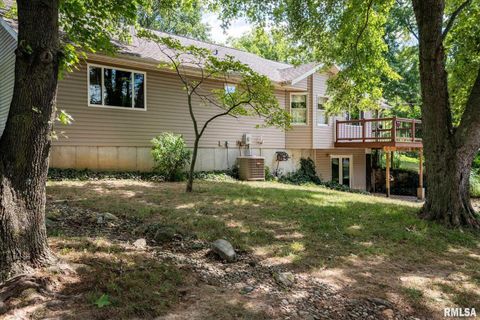 Tiny photo for 541 DALLAS Road, Murphysboro, IL 62966 (MLS # EB459428)