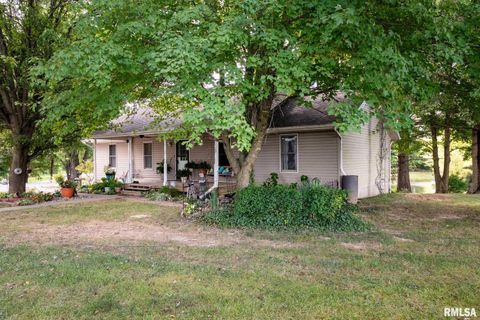 Tiny photo for 541 DALLAS Road, Murphysboro, IL 62966 (MLS # EB459428)