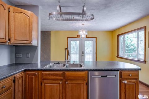 Tiny photo for 541 DALLAS Road, Murphysboro, IL 62966 (MLS # EB459428)