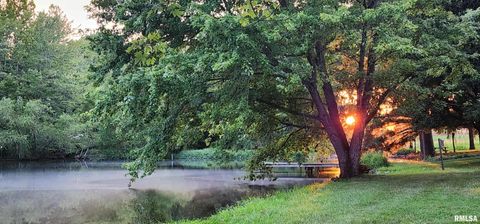 Tiny photo for 541 DALLAS Road, Murphysboro, IL 62966 (MLS # EB459428)