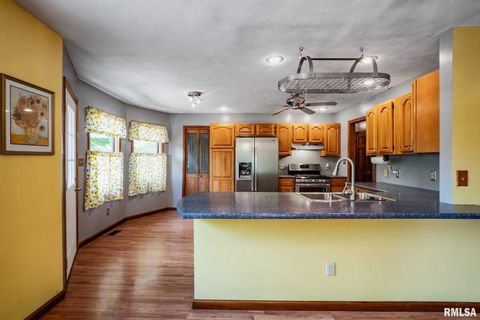 Tiny photo for 541 DALLAS Road, Murphysboro, IL 62966 (MLS # EB459428)