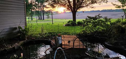 Tiny photo for 541 DALLAS Road, Murphysboro, IL 62966 (MLS # EB459428)