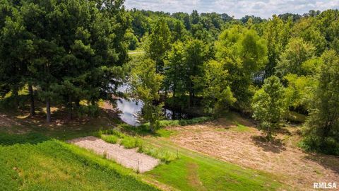 Tiny photo for 541 DALLAS Road, Murphysboro, IL 62966 (MLS # EB459428)