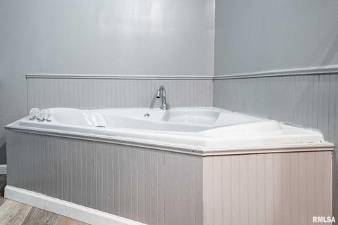 Tiny photo for 541 DALLAS Road, Murphysboro, IL 62966 (MLS # EB459428)