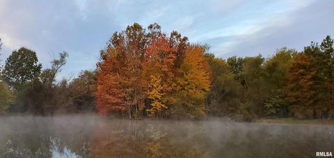 Tiny photo for 541 DALLAS Road, Murphysboro, IL 62966 (MLS # EB459428)