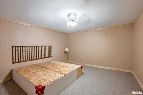 Tiny photo for 541 DALLAS Road, Murphysboro, IL 62966 (MLS # EB459428)