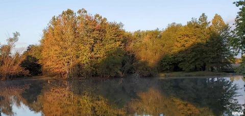 Tiny photo for 541 DALLAS Road, Murphysboro, IL 62966 (MLS # EB459428)