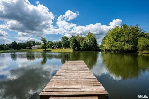 Tiny photo for 541 DALLAS Road, Murphysboro, IL 62966 (MLS # EB459428)