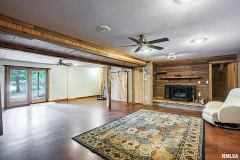 Tiny photo for 541 DALLAS Road, Murphysboro, IL 62966 (MLS # EB459428)