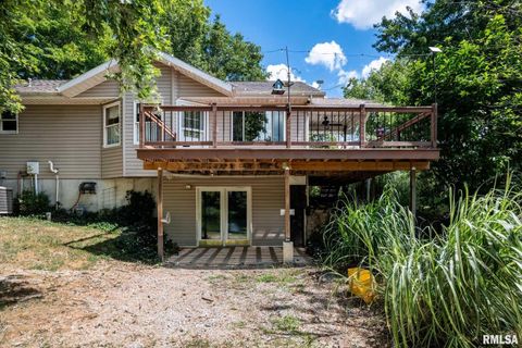 Tiny photo for 541 DALLAS Road, Murphysboro, IL 62966 (MLS # EB459428)