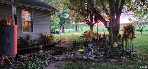 Tiny photo for 541 DALLAS Road, Murphysboro, IL 62966 (MLS # EB459428)