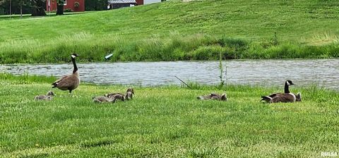 Tiny photo for 541 DALLAS Road, Murphysboro, IL 62966 (MLS # EB459428)