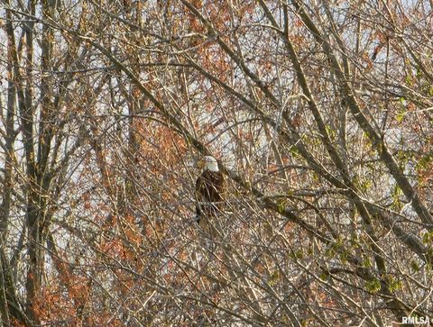 Tiny photo for 541 DALLAS Road, Murphysboro, IL 62966 (MLS # EB459428)