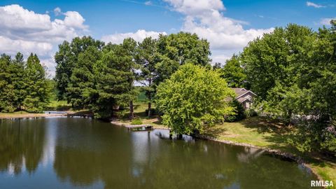 Tiny photo for 541 DALLAS Road, Murphysboro, IL 62966 (MLS # EB459428)