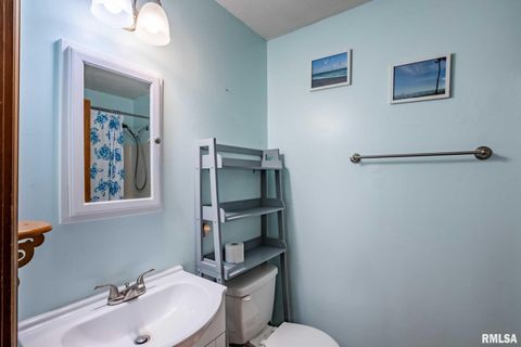 Tiny photo for 541 DALLAS Road, Murphysboro, IL 62966 (MLS # EB459428)