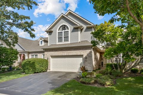 3891 WILLOW VIEW Drive 3891 Lake In The Hills IL 60156