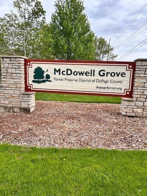 Tiny photo for 800 Manchester Street, Naperville, IL 60563 (MLS # 12273612)
