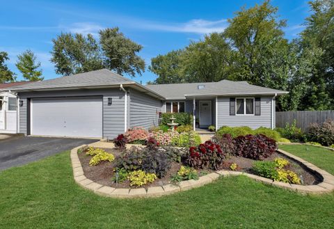 Photo of 543 S Warren Avenue, Palatine, IL 60074 (MLS # 12472216)