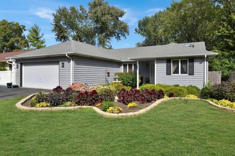 Tiny photo for 543 S Warren Avenue, Palatine, IL 60074 (MLS # 12472216)