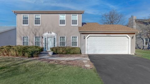 225 Mondovi Drive Oswego IL 60543