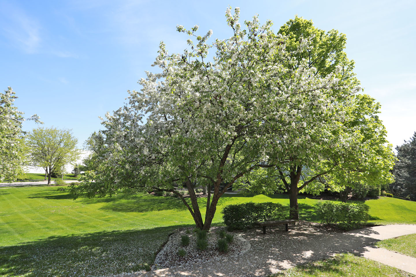 1403 New Haven Drive