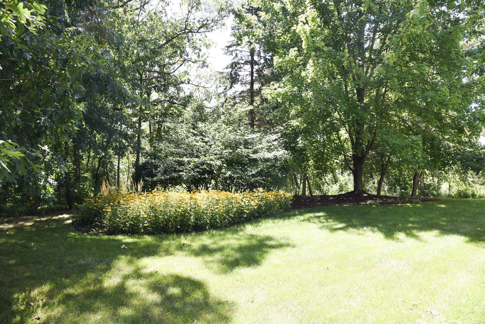 40354 N Belle Foret Drive