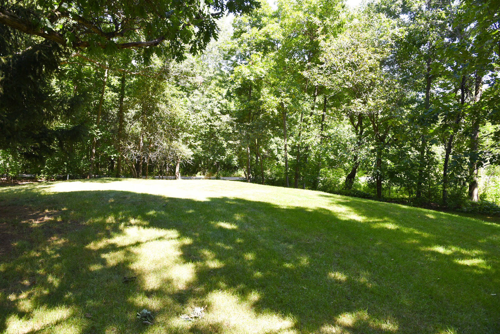 40354 N Belle Foret Drive