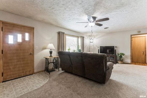 Tiny photo for 208 N DEPOT Street, Annawan, IL 61234 (MLS # QC4270054)