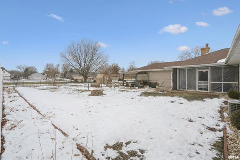 Tiny photo for 208 N DEPOT Street, Annawan, IL 61234 (MLS # QC4270054)