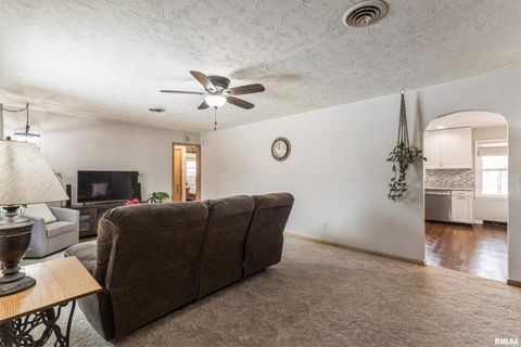 Tiny photo for 208 N DEPOT Street, Annawan, IL 61234 (MLS # QC4270054)