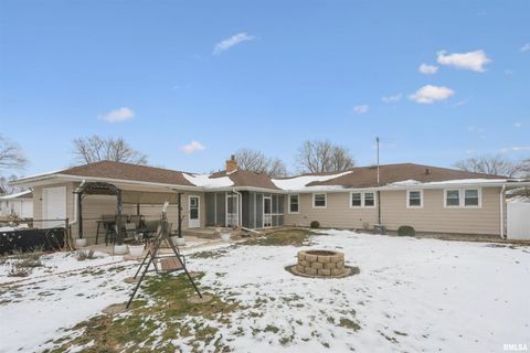 Tiny photo for 208 N DEPOT Street, Annawan, IL 61234 (MLS # QC4270054)