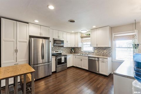 Tiny photo for 208 N DEPOT Street, Annawan, IL 61234 (MLS # QC4270054)