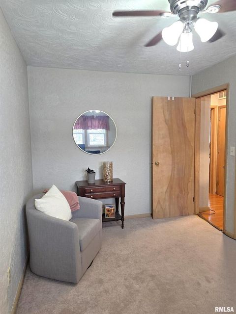 Tiny photo for 208 N DEPOT Street, Annawan, IL 61234 (MLS # QC4270054)