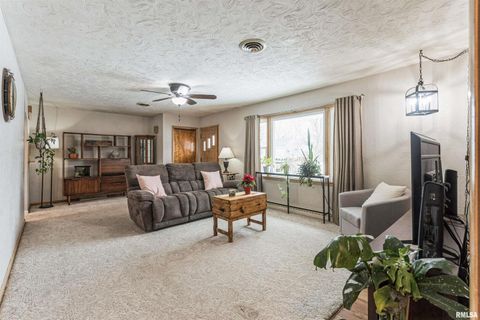 Tiny photo for 208 N DEPOT Street, Annawan, IL 61234 (MLS # QC4270054)