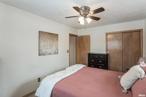 Tiny photo for 208 N DEPOT Street, Annawan, IL 61234 (MLS # QC4270054)