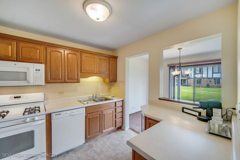 Tiny photo for 1241 S Williams Street #40-1, Westmont, IL 60559 (MLS # 12621593)