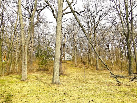 Tiny photo for 20915 W Walton Road, Wilmington, IL 60481 (MLS # 12600883)