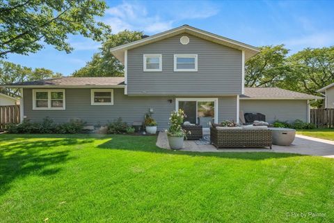 Tiny photo for 923 E Schirra Drive, Palatine, IL 60074 (MLS # 12695848)