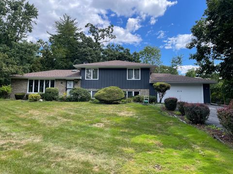 Photo of 815 VINEWOOD Avenue, Willow Springs, IL 60480 (MLS # 12472582)