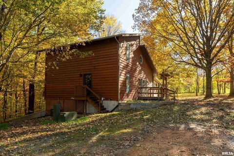 Tiny photo for 4648 Highway 127, Carbondale, IL 62903 (MLS # EB460416)